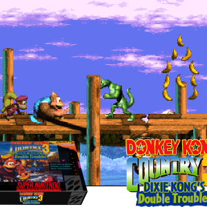 Donkey Kong Country III